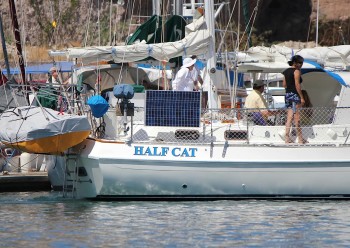Half Cat looking cruise-ready at the dock